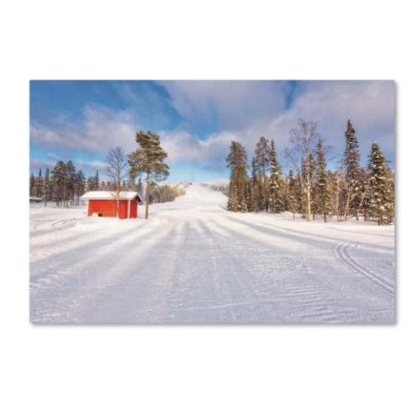 Philippe Sainte-Laudy 'White Descent' Canvas Art, 30x47, Trademark Fine Art, Mfr#: PSL01174-C3047GG
